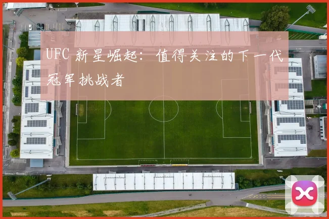 UFC 新星崛起：值得关注的下一代冠军挑战者