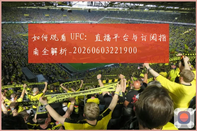 如何观看 UFC:直播平台与订阅指南全解析_20260603221900
