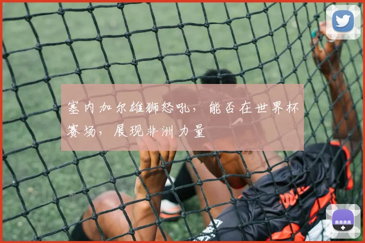 塞内加尔雄狮怒吼，能否在世界杯赛场，展现非洲力量
